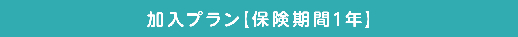 加入プラン【保険期間1年】
